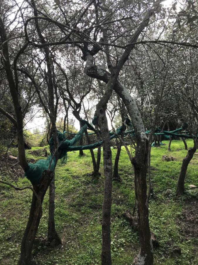 La Terrazza Del Molino Διαμέρισμα Λεβάντο Εξωτερικό φωτογραφία